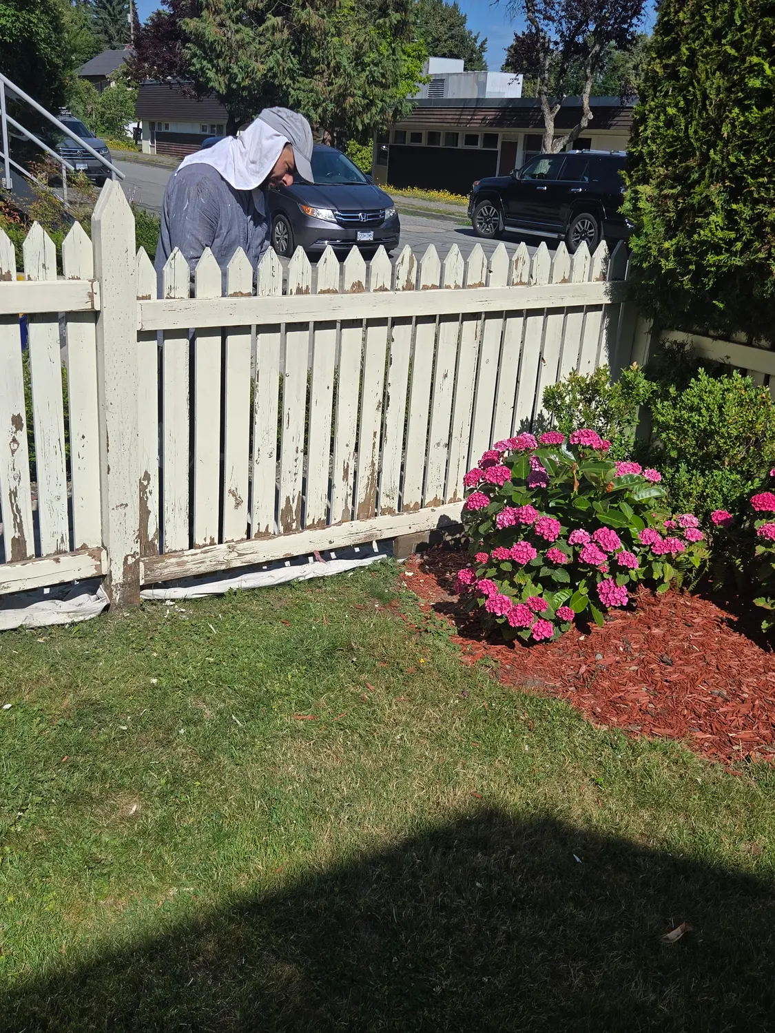 Painter scraping and prepping an old picket fence before painting